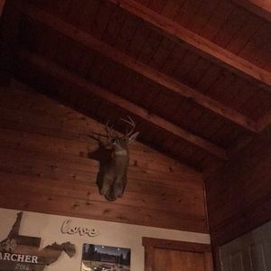 Meet your Posher, Silas